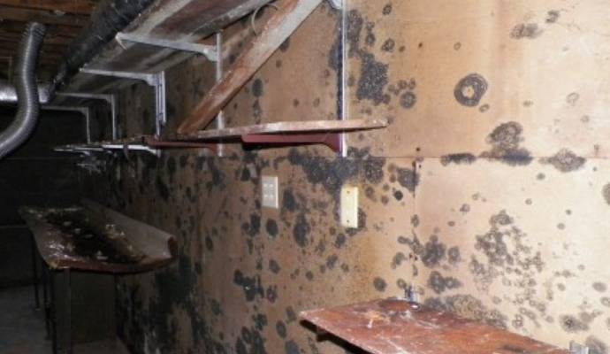 Indoor Air Quality