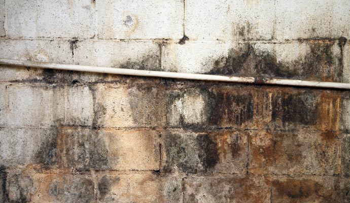 Concrete wall with significant water damage and mold growth