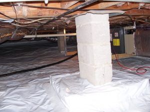 Basement Insulation