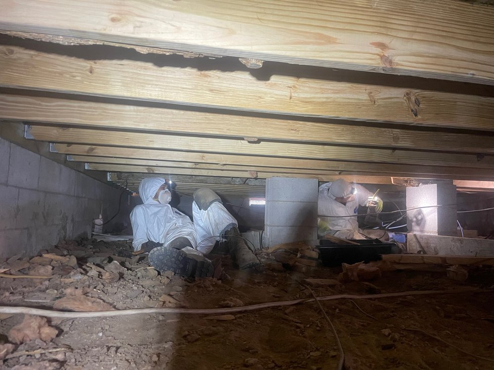 Crawl Space Repair