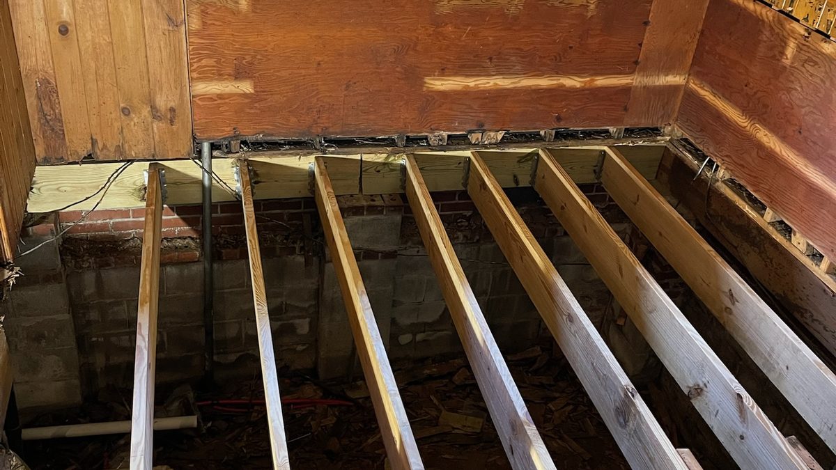 Newly installed floor joists during a DryWorx crawl space joist repair