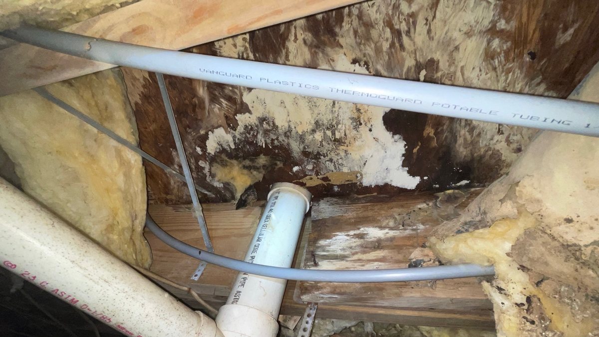 Water-damaged subfloor framing before structural repair