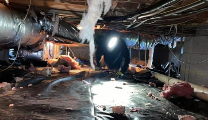 a professional inspecting a dirty crawl space