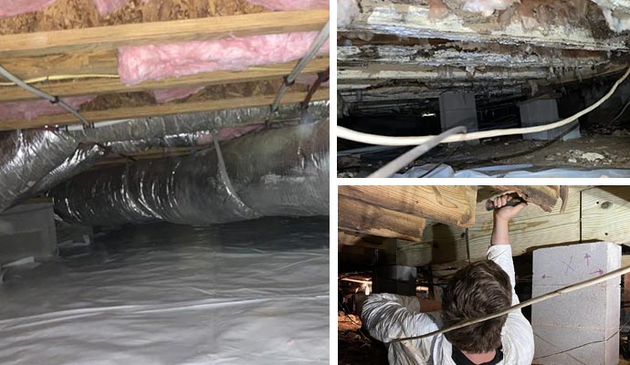 crawl space services