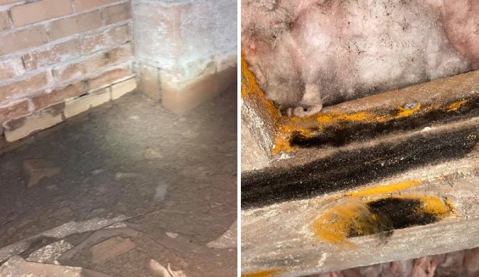 Collage of water and mold damaged crawl space