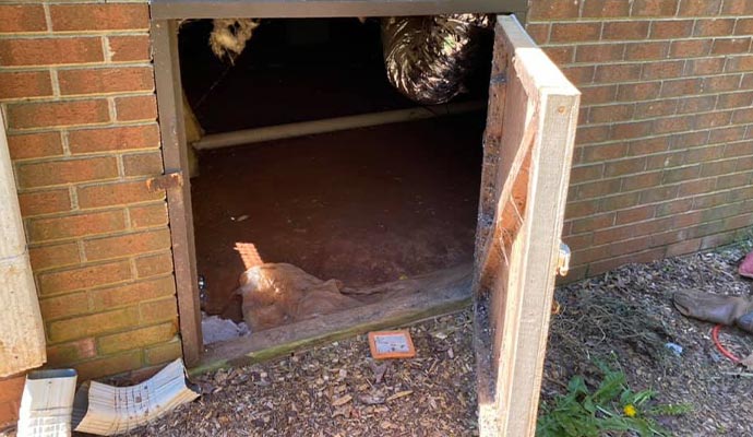 crawl space access door