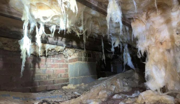 Damaged interior of a crawl space