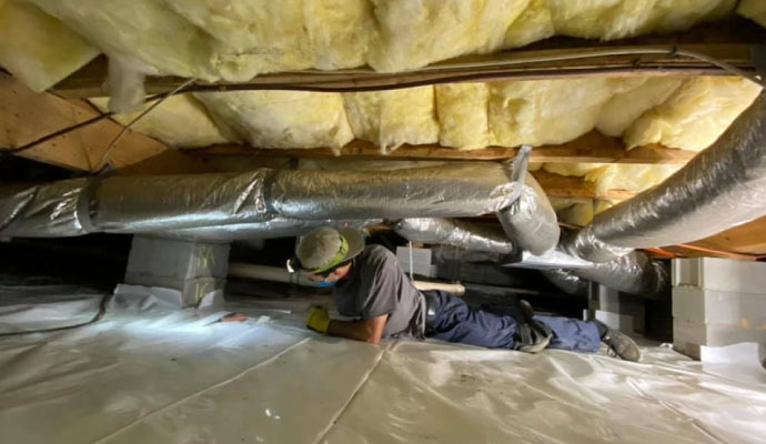 a professional installing vapor barrier