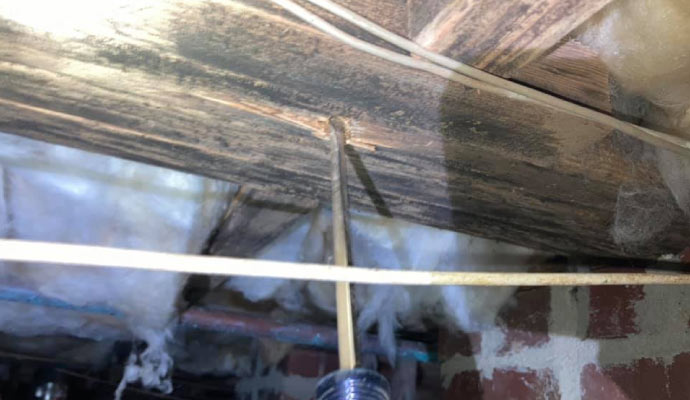 damaged rotten wood in crawl space