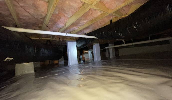 Unsealed Crawlspace With Moisture, Mold, and Pest Issues Highlighting the Need for Encapsulation