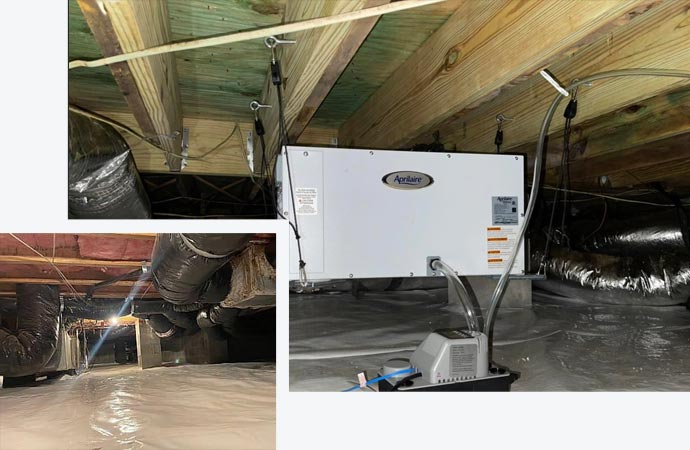 Crawlspace & Basement Solution Services