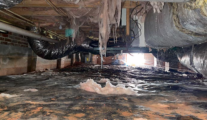 Damaged crawl space interior Damaged crawl space interior