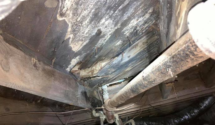 Damaged rotted subfloor planks