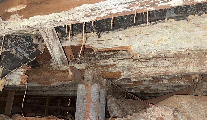 Severe wood rot