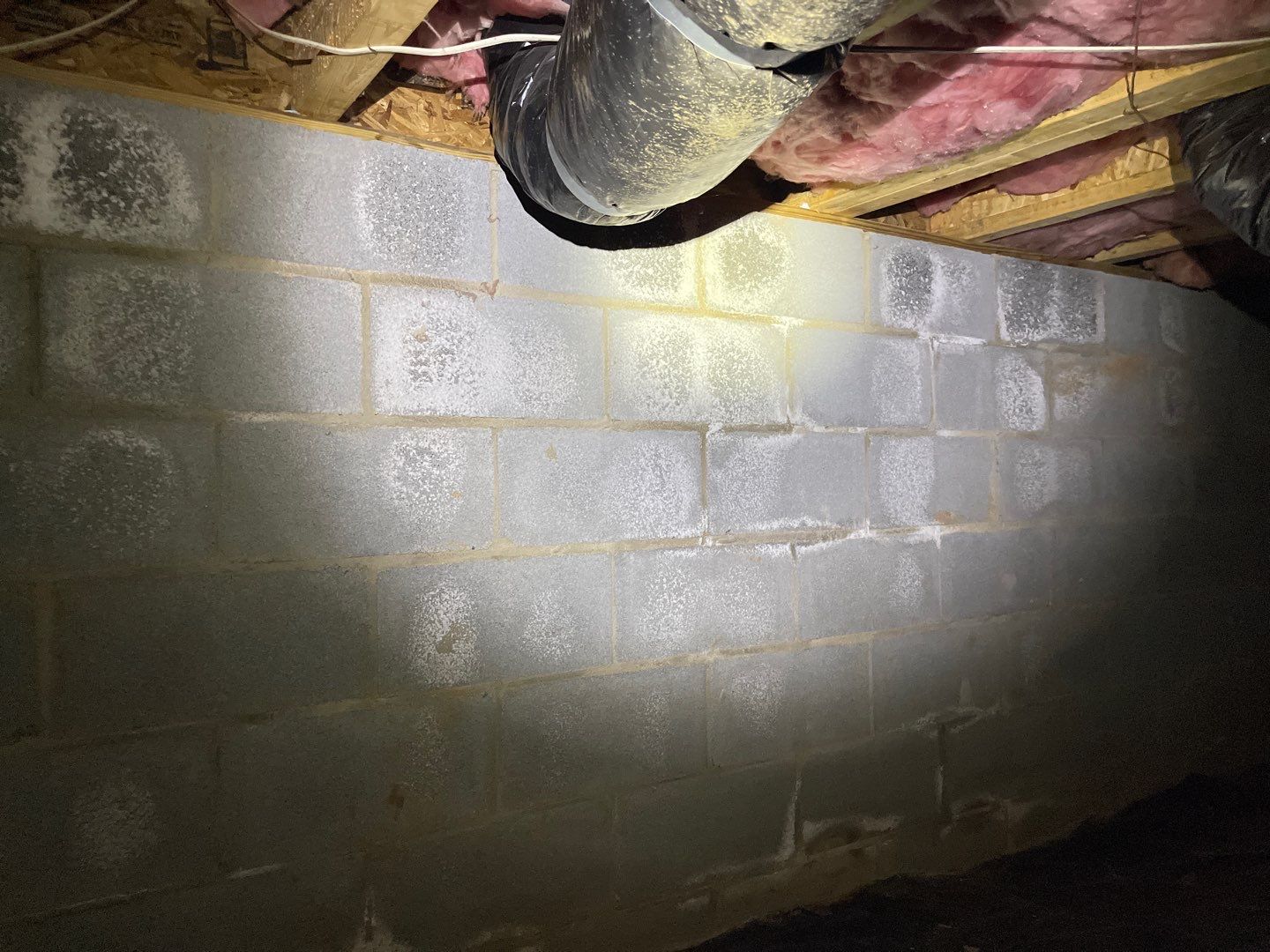 Dehumidifier Installation and Joist Repair