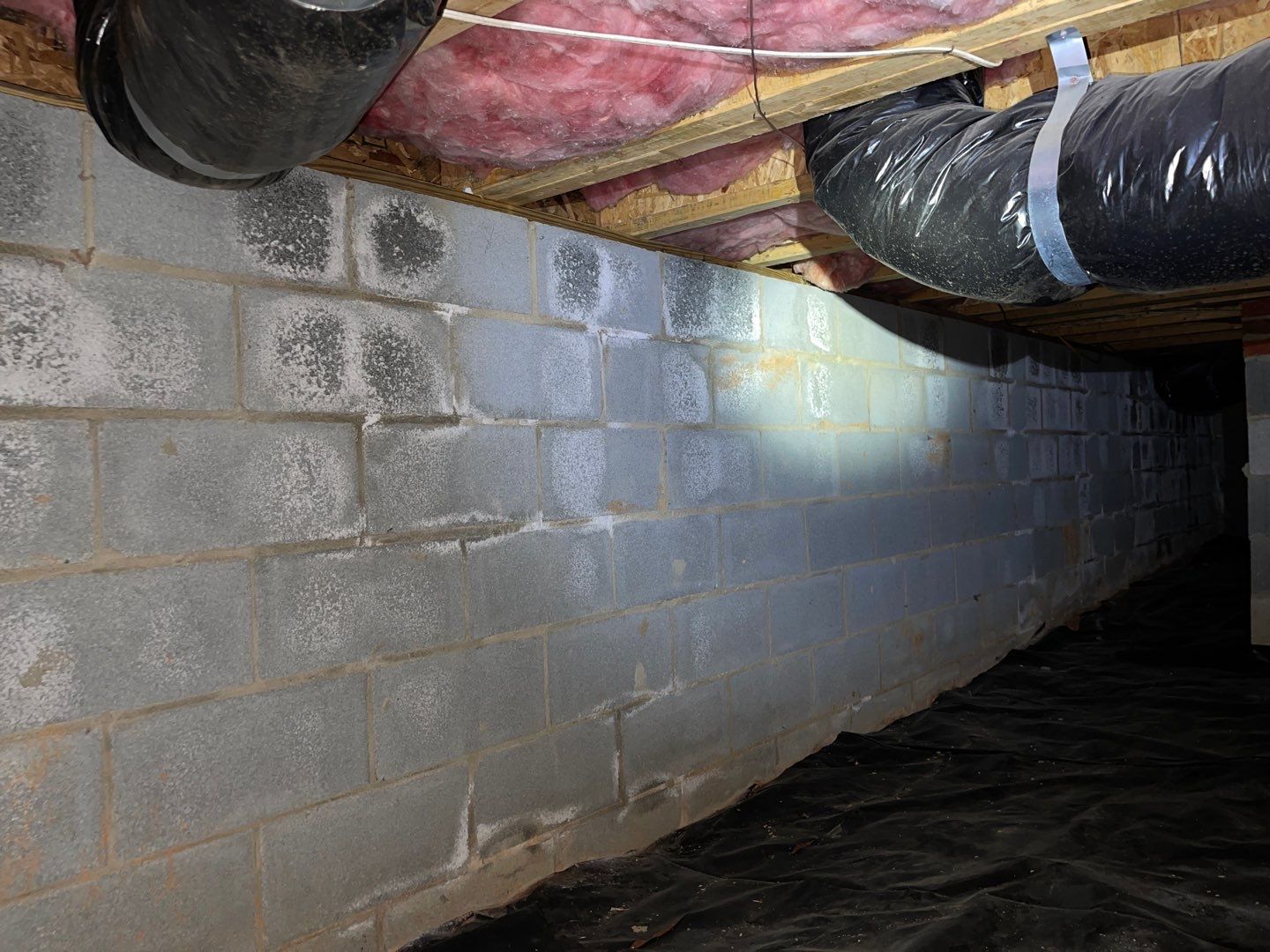 Dehumidifier Installation and Joist Repair