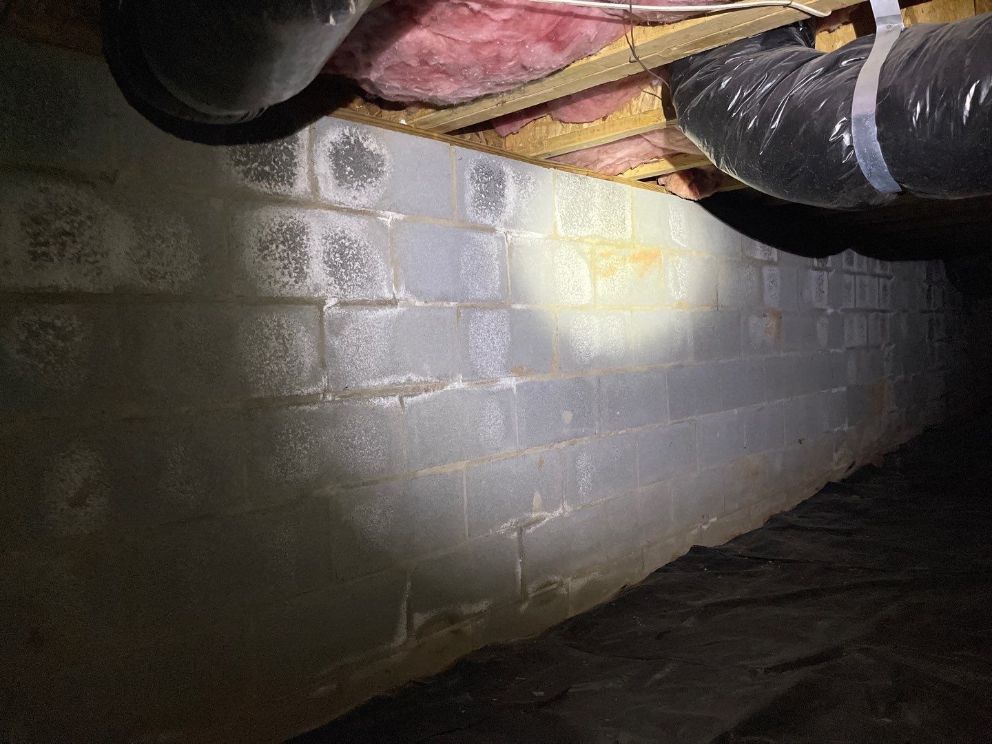 Dehumidifier Installation and Joist Repair
