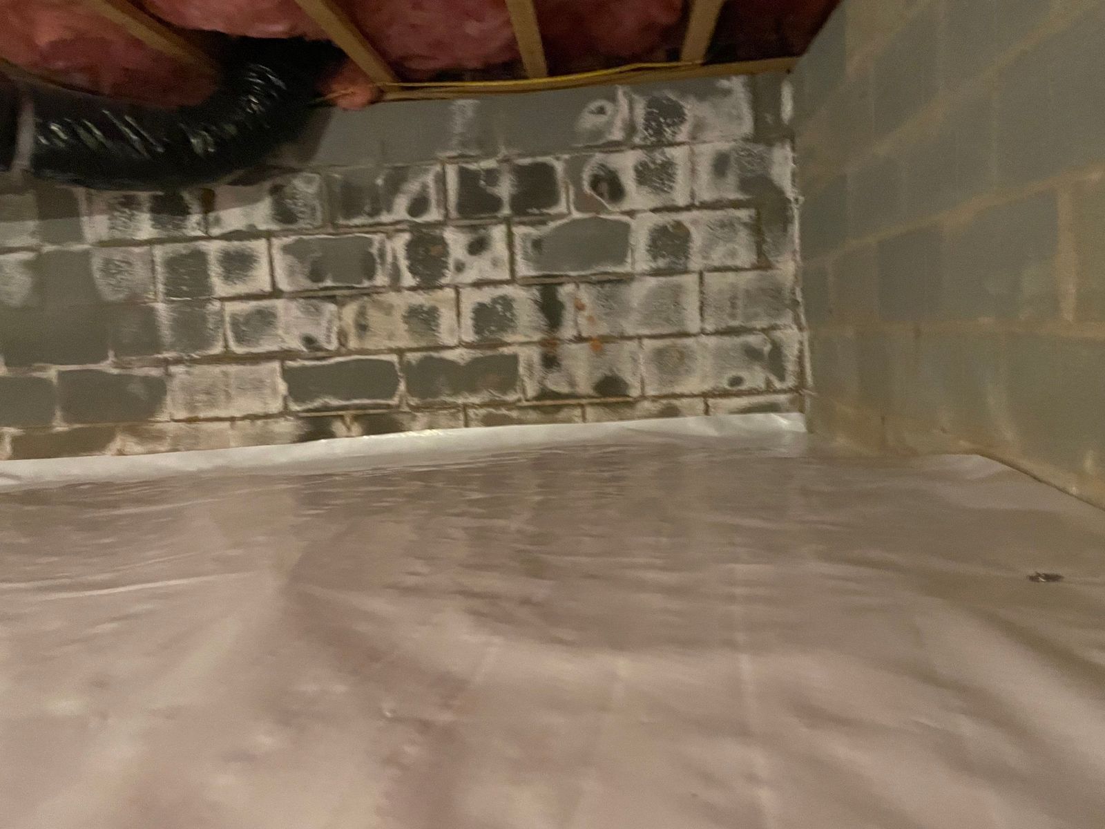 Dehumidifier Installation and Joist Repair