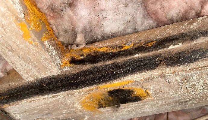Moldy crawl space