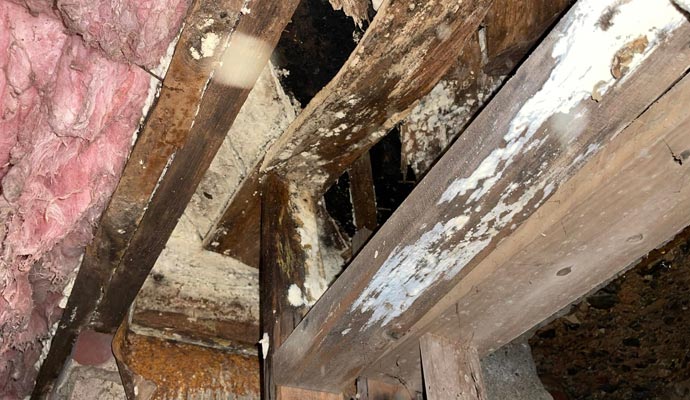 rotten wood in crawl space