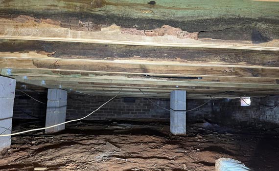 water-damaged and mold-infested crawl space