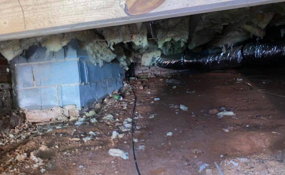 a dirty and musty crawl space