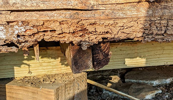 Severe rot and termite damage to a wooden beam.