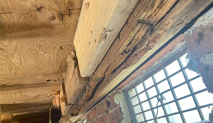 Termite wood damage near window