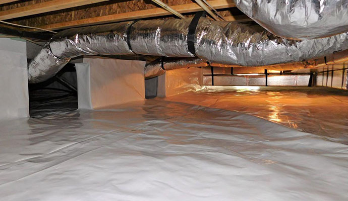 What Causes Mold in Crawl Spaces?
