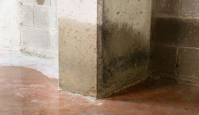 Water-damaged basement with concrete block walls