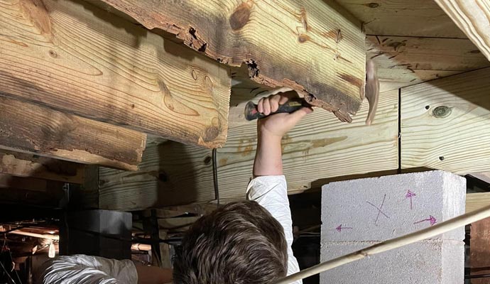 repairing rotten wood